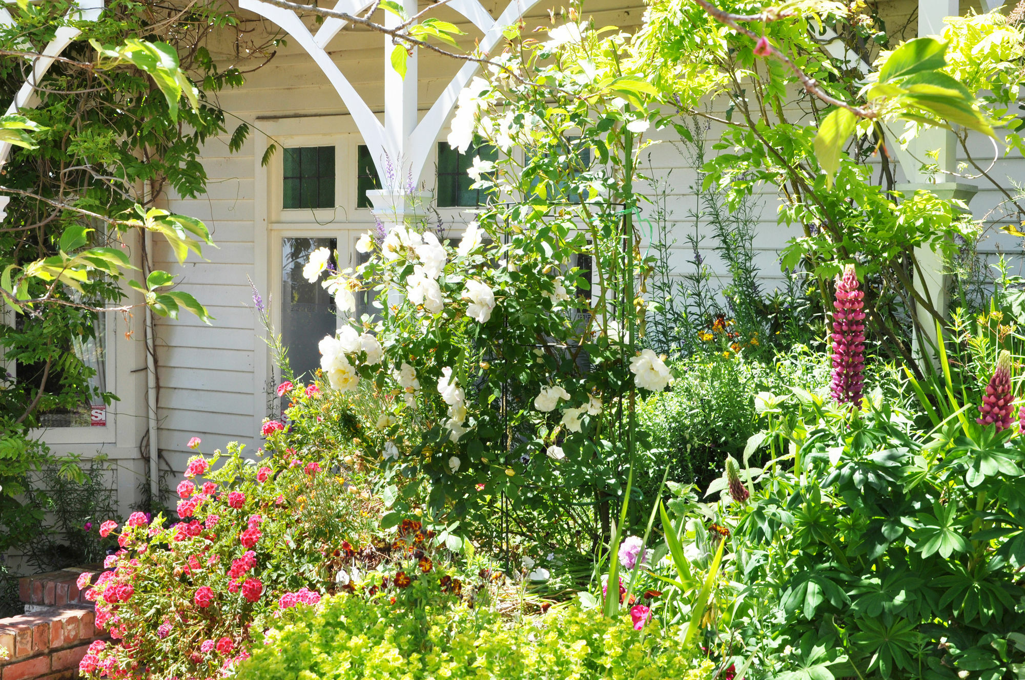 Dyers House Bed & Breakfast Christchurch Ngoại thất bức ảnh